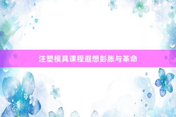 注塑模具课程遐想彭胀与革命